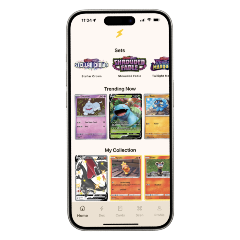 Preview of the Pooka App interface